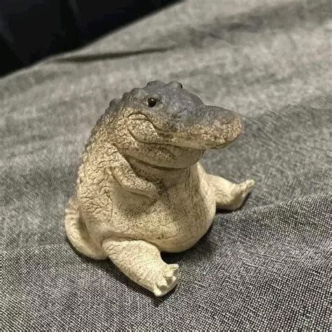 fat crocodile figure.